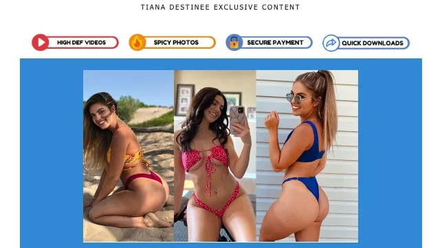 Header Image